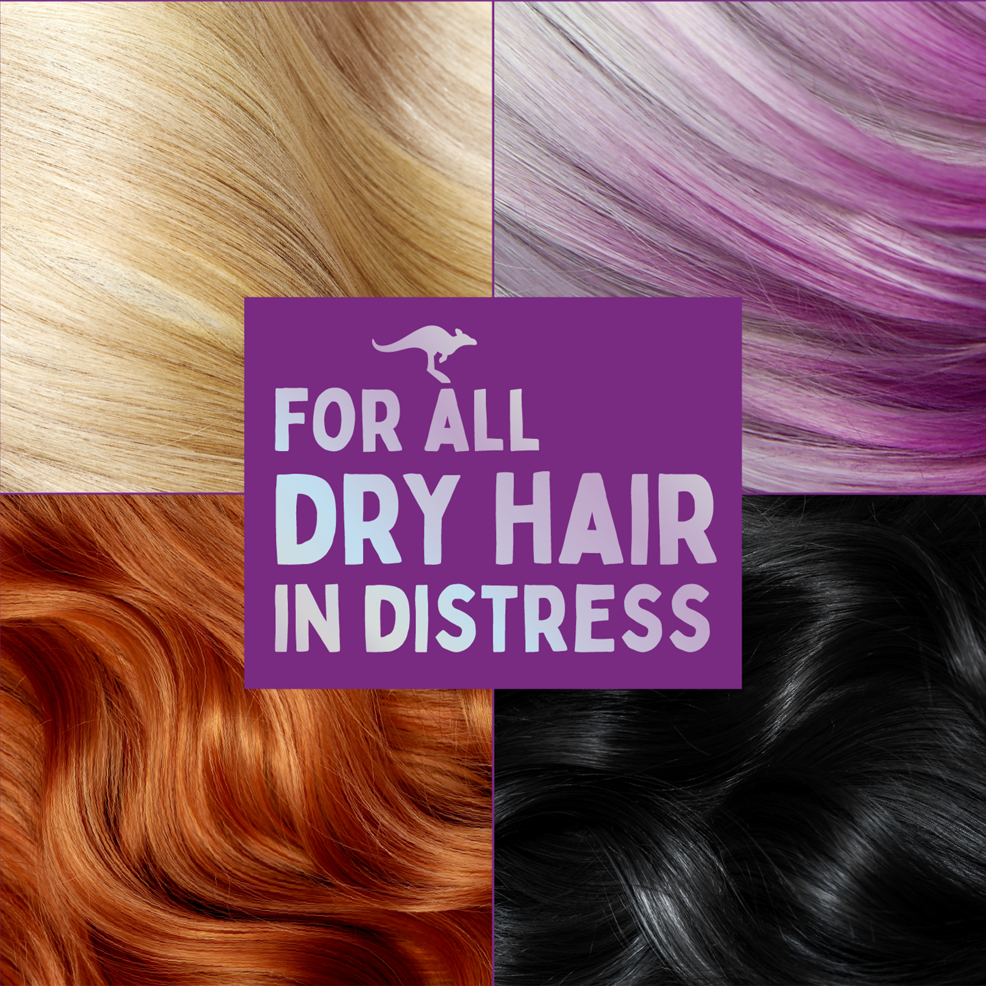 For all dry hair in distress