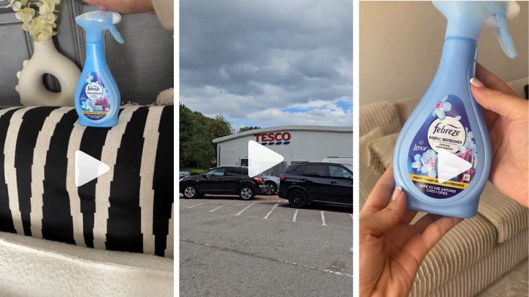 A gallery of freshness 