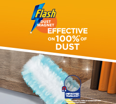 Flash Dust Magnet Flash Dust Magnet