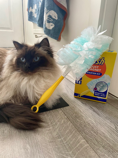 Flash Dust Magnet social post